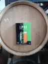 Libro lupulo